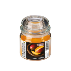 Flavour by GALA Bonbonglas mit Wachsfüllung, MAXI Ø 90 mm · 120 mm pfirsich - Mango-Papaya
